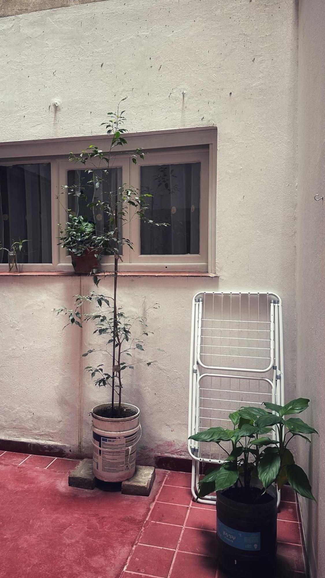 דירות מנדוזה El Oasis מראה חיצוני תמונה